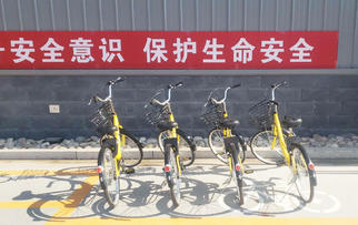助力辦公路上“最后一公里” | Pando龐度·河北龍大引入免費“小黃車”，員工辦公更方便啦！
